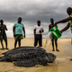 Image: Adam Rees/British Ecological Society